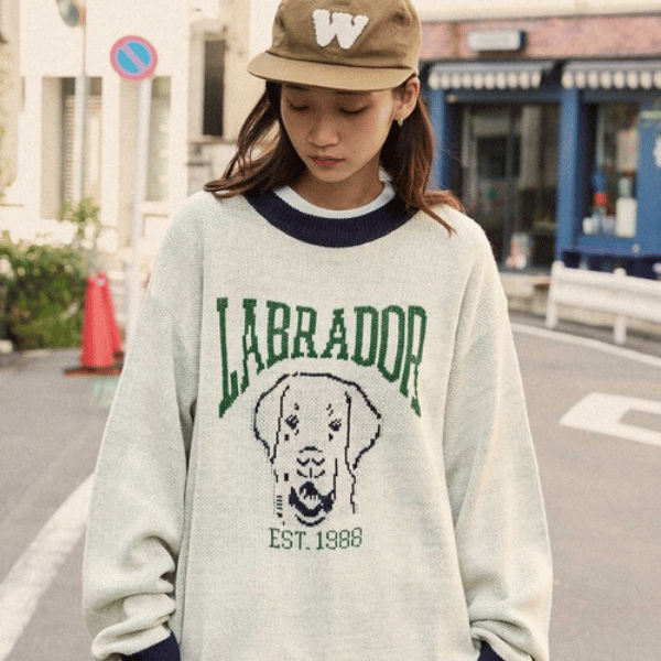 Labrador Retriever / ラブラドールレトリーバー 別注 カレッジ ビッグシルエット クルーネックジャガードニット